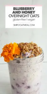Serving or blueberry honey overnight oats topped with toasted granola