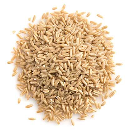 oat groats on a flat surface