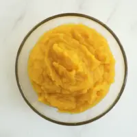 pumpkin puree in a food processor