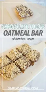 No bake chocolate peanut butter fudge oatmeal bar topped with crunchy peanuts