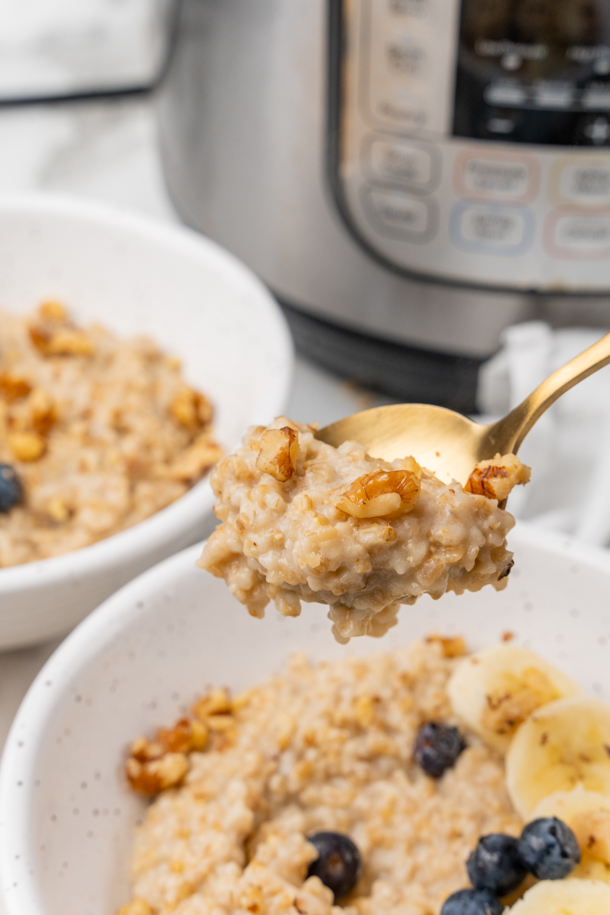 Instant Pot Oatmeal Simply Oatmeal